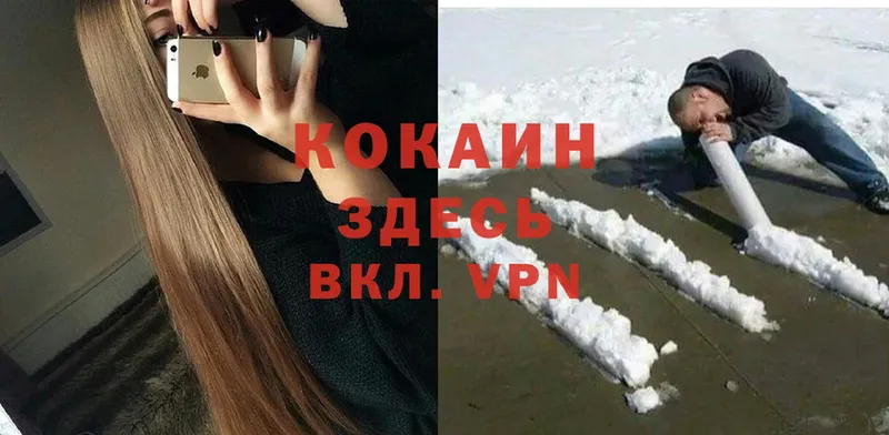 COCAIN Эквадор Канаш